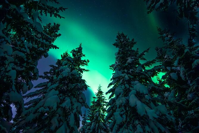 Private Aurora Hunting with Professional Photographer from Alta - The weather-first game plan starts at the meeting point
