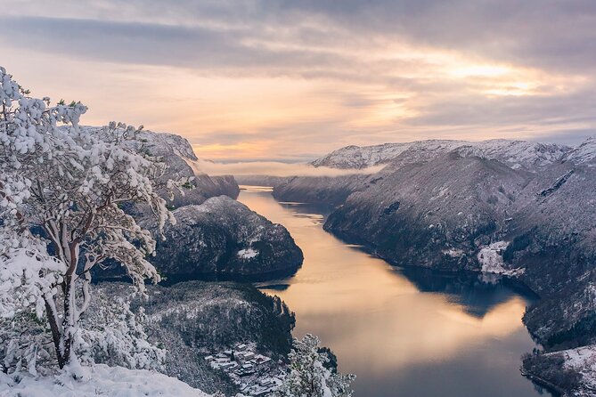 Private Cruise: Mostraumen by Zodiac or Lux Pontoon Boat - Stop 1 Bergen: The Central-Start Advantage for Cruise Days