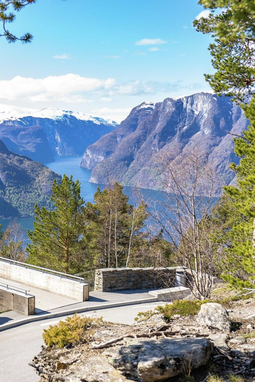 Private Day Tour- Flam Railway & Fjord Cruise From Bergen - Price and what $1,061 really buys you on a private day