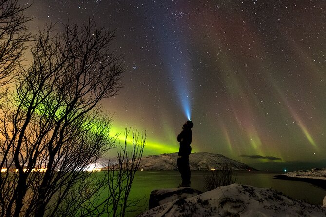 Private & Exclusive Northern Lights Tour with Professional guide - Tromsø under the aurora oval, and why the route matters