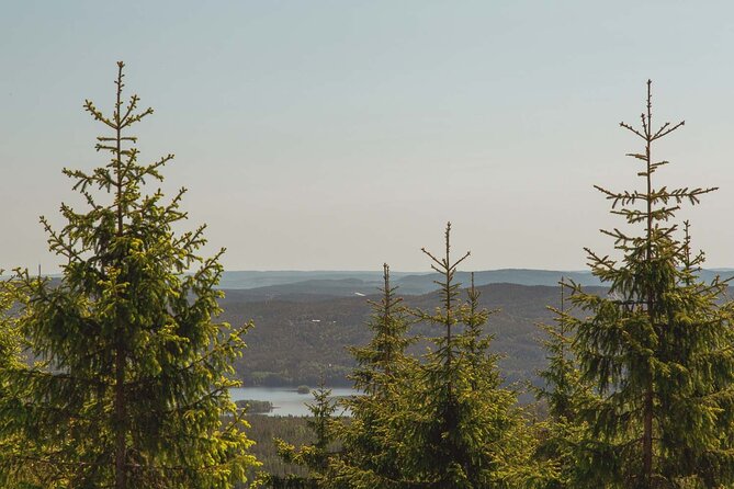 Private Great lake tour - Stop 2, Maridalsvannet: Oslo’s big lake and a quieter pace