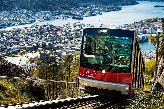 Private Guided City Sightseeing - Bergens Top Attractions - Bryggen UNESCO wharf: colorful buildings with long trade memory
