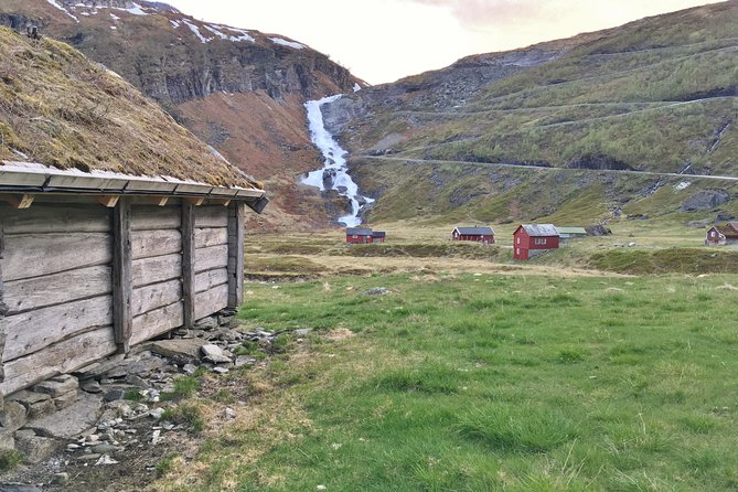 PRIVATE GUIDED TOUR: King of the Fjords – round trip to the Sognefjord, 11 hours - Who This Tour Suits Best