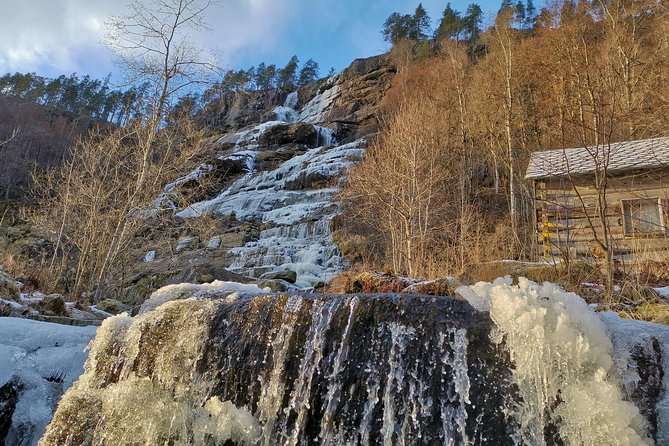 PRIVATE GUIDED TOUR: Norway's Highlights – Viking Special, 11-12 hours – WINTER - Nærøyfjord options: cruise you book or lookout alternatives