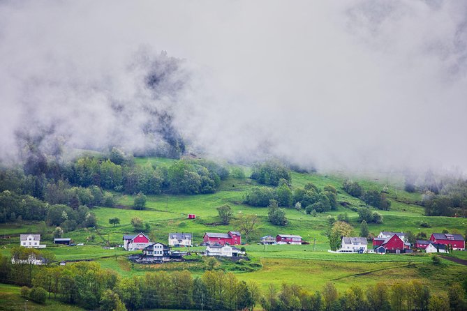 PRIVATE GUIDED TOUR: Norway's Highlights – Viking Special, 11-12 hours – WINTER - What the $764.12 per person price really buys you