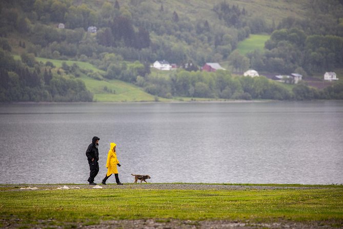 PRIVATE GUIDED TOUR: Norway's Highlights–Viking Special, 11 h - Tvindefossen to Stalheimskleiva: waterfalls, altitude, and that hairpin-road rush
