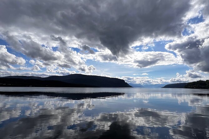 Private Guided Tour of Bergen and the Best of Norwegian Fjords - Key highlights worth your time