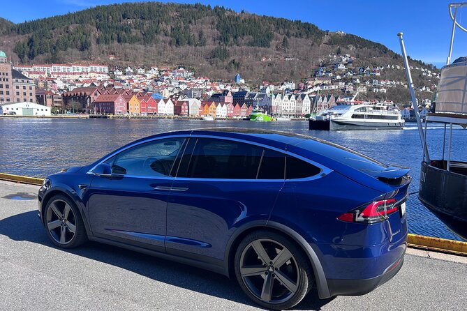 Private Guided Tour of Bergen and the Best of Norwegian Fjords - Omaholmen photo stop: quick, scenic, and built for cameras