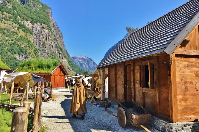 PRIVATE GUIDED TOUR: World Heritage Fjord Landscape – Viking Special – from Flåm - Price and logistics: is $675.68 per person good value?