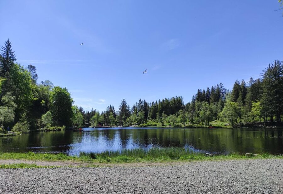 Private hiking tour Bergen mountains like a local - The mountain cabin stop and the stories that make it feel local