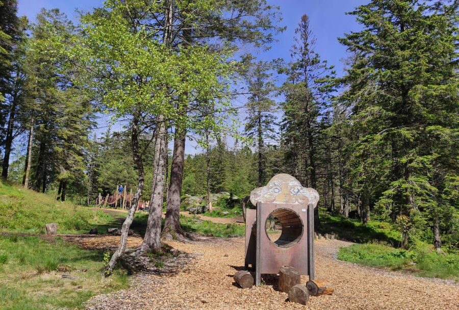 Private hiking tour Bergen mountains like a local - Languages and the private format that makes the hike actually personal