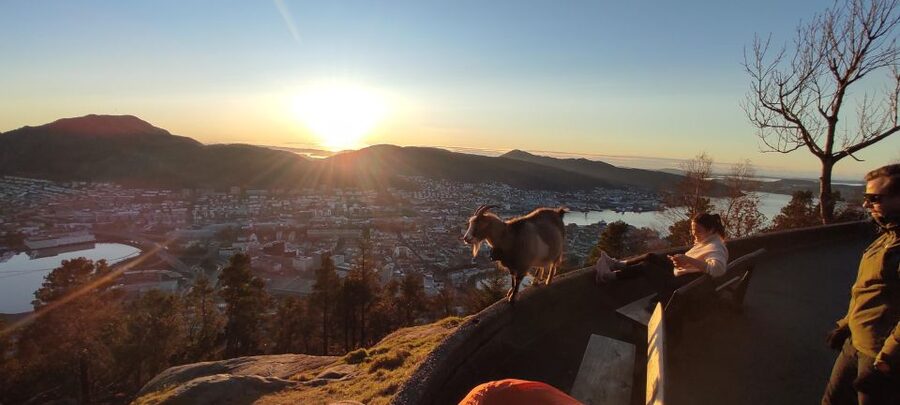 Private hiking tour Bergen mountains like a local - Mount Floyen lookout, city views, and reading the day’s weather