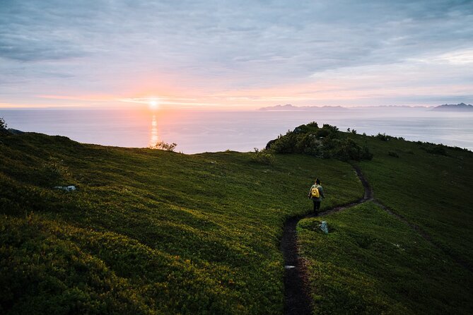 Private Midnight Tour To Gimsøya - Key highlights worth planning for