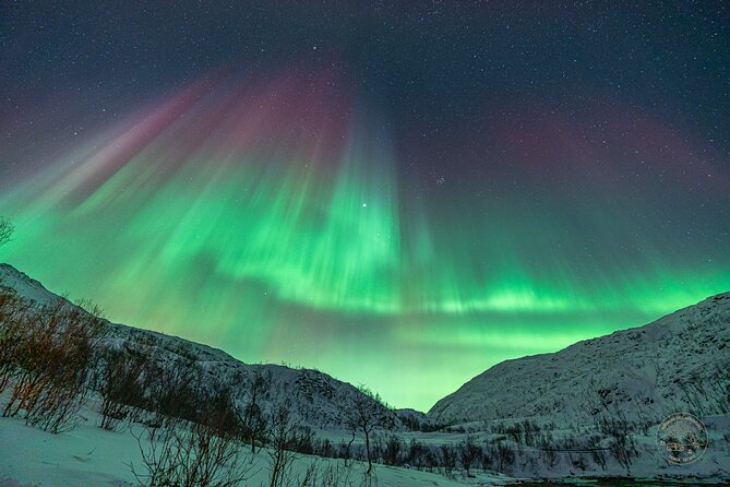 Private Northern Lights Chase with Photography from Tromsø - Bonfire Breaks: The Warm Food Factor That Makes the Night Better