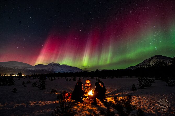 Private Northern Lights Chase with Photography from Tromsø - Real-World Contingencies: Weather, Ice, and Guide Care