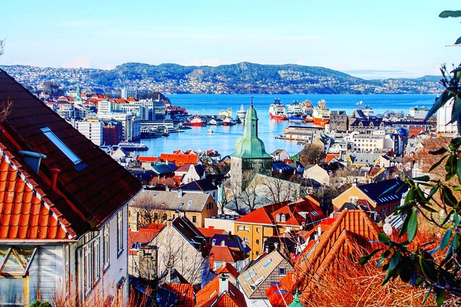 PRIVATE TOUR: Bergen city sightseeing, 3 hours - Comfort and logistics: the small stuff that matters in rainy Bergen