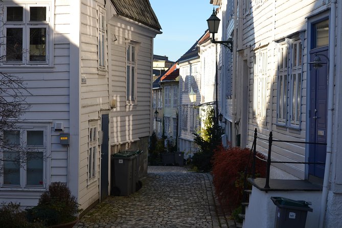 PRIVATE TOUR: Bergen city sightseeing, 3 hours - Who should book this private Bergen highlights tour