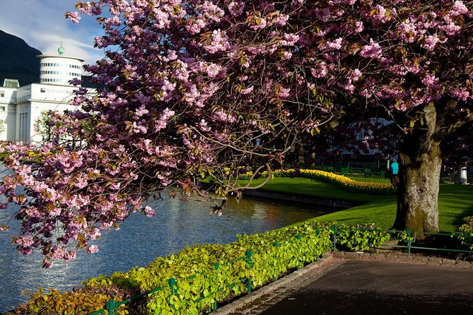 PRIVATE TOUR: Bergen city sightseeing, 5 hours - Bergen Center Hits: Bryggen, Bergenhus Fortress, Fish Market, and the National Theatre