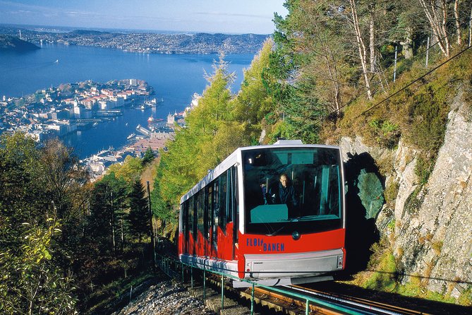 PRIVATE TOUR: Bergen city sightseeing, 5 hours - Private Transport and a Guide Who Keeps It Human