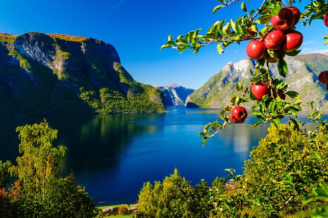 Private tour, Bergen to Oslo - Nærøyfjord Cruise & Flåm Railway - Stegastein viewpoint in summer, and why it’s timed right