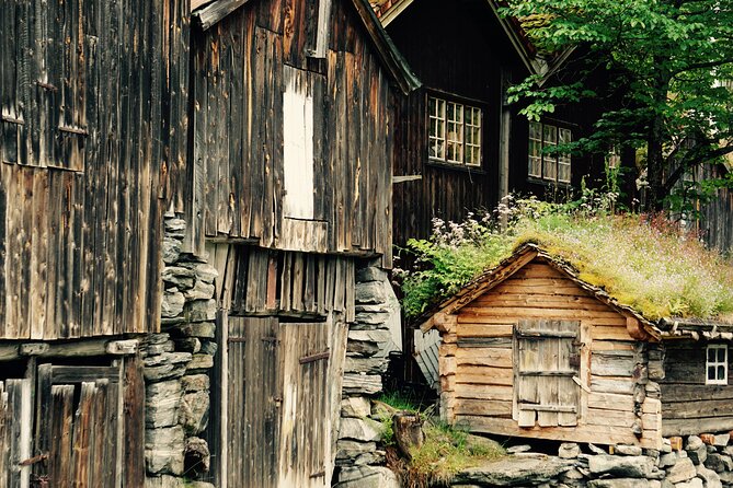 Private tour from Ålesund to Geiranger up to 15 people - Private Ålesund to Geiranger, Done With Your Guide Driving
