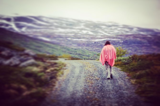 Private tour Geiranger and Glaciers 1 to 15 people - Pickup at Eidsdal Ferry, Then Straight into Fjord Views