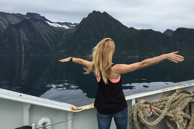 Private tour Geiranger and Glaciers 1 to 15 people - Gamle Strynefjellsvegen: The Old Mountain Road Stops That Make You Slow Down