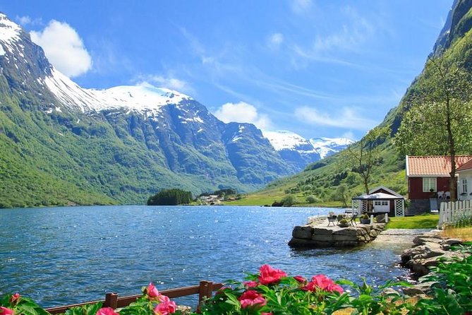 Private tour - Viking Village, Nærøyfjord Cruise and Flåm Railway - Nærøyfjord Cruise to Flåm: One Hour That Changes How You See the Fjord
