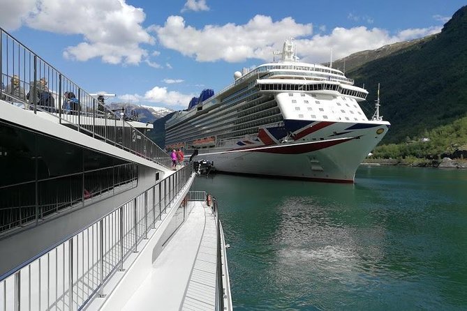 Private tour - Viking Village, Nærøyfjord Cruise and Flåm Railway - Flåmsbana Railway (Flåm to Myrdal): The Main Event Ride