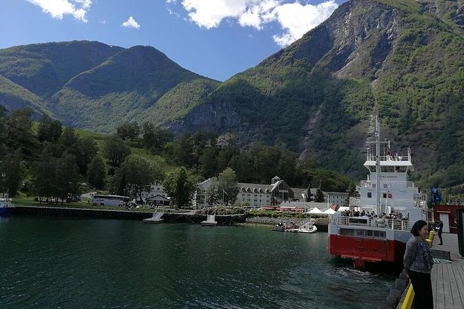Private tour - Viking Village, Nærøyfjord Cruise and Flåm Railway - Bergen Railway Return: Myrdal to Voss Before Bergen
