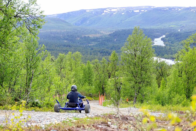 Racing Mountain Cart in Dagali near Geilo, Norway - Dagali Mountain Cart: A Fast Sled, Not a Scary Roller Coaster