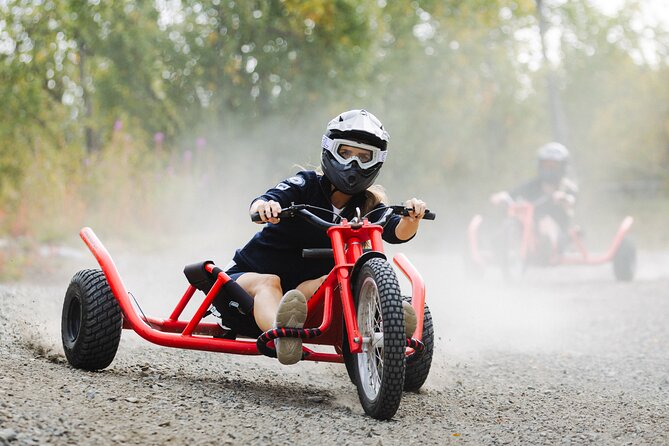 Racing Mountain Cart in Dagali near Geilo, Norway - Who This Is For (And Who Might Want to Pass)