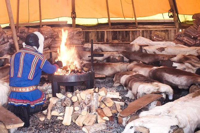 Reindeer Feeding and Sami Culture Including Lunch from Tromso - Group size, timing, and value for $145.53
