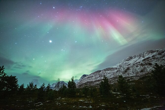 Reindeer Feeding and Sledding, Sami Storytelling Night Tour - Two Arctic Experiences in One Evening