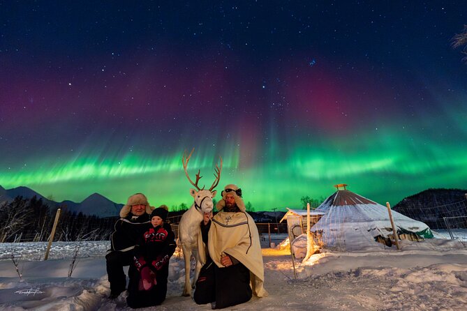 Reindeer Feeding and Sledding, Sami Storytelling Night Tour - Short Sledding: Winter Fun Without Overthinking It