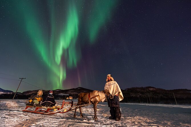 Reindeer Feeding and Sledding, Sami Storytelling Night Tour - Northern Lights Chance: How to Think About Success