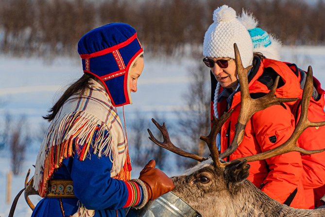Reindeer feeding & Saami Culture - Tromsø pickup that gets you to the Lyngen Alps without fuss