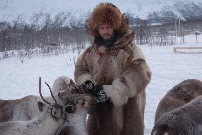 Reindeer feeding & Saami Culture - Lunch and reindeer stew: traditional food, with a heads-up on taste