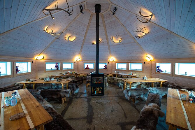 Reindeer feeding & Saami Culture - Price and value in Tromsø: what $183 is really covering