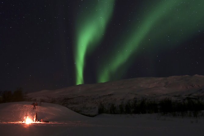 Reindeer feeding & Saami Culture with chance for Northern Lights - Price and Logistics: What You Really Get for Around $182