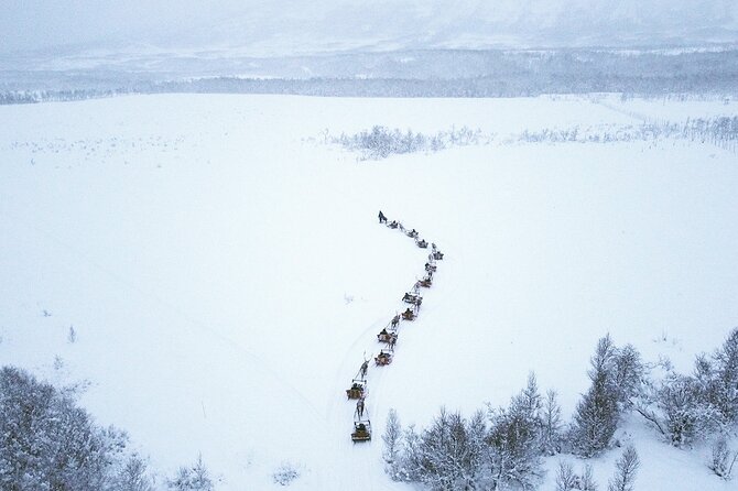 Reindeer Sledding and Feeding with Sami Culture in Tromso. - Key things you’ll notice right away