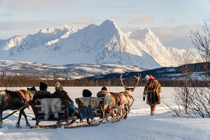 Reindeer Sledding and Feeding with Sami Culture in Tromso. - Getting from Tromsø to Tromsø Lapland, and why that matters