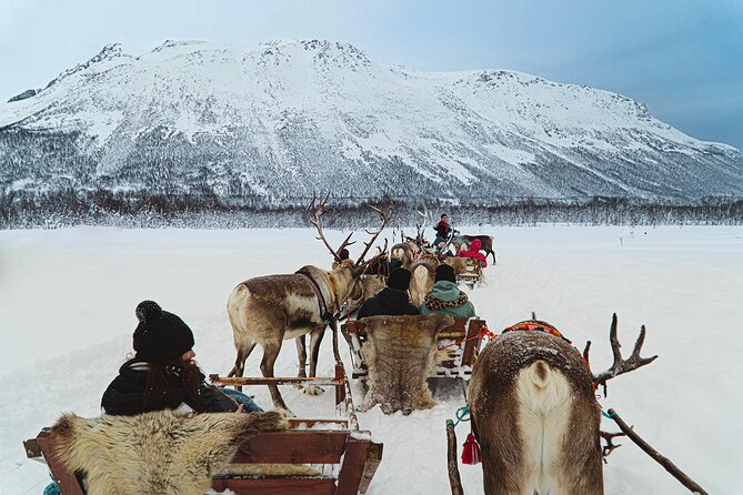 Reindeer Sledding and Feeding with Sami Culture in Tromso. - Lunch and warm drinks: reindeer stew, vegan options, and the real comfort