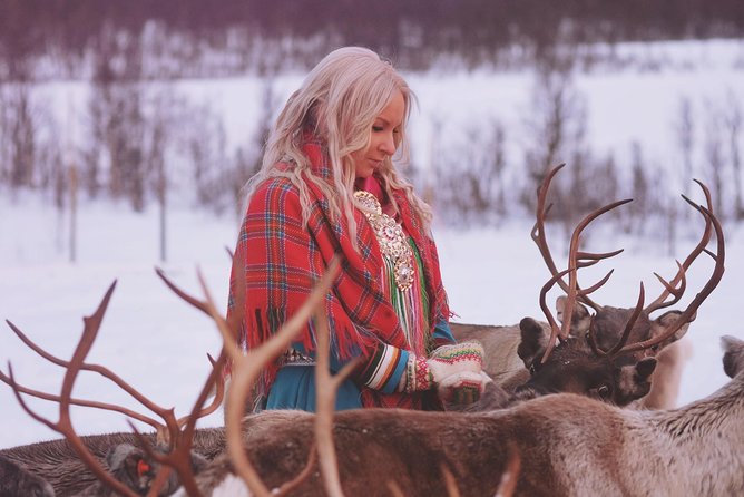 Reindeer Sledding and Feeding with Sami Culture in Tromso. - The Sámi culture talk in the lavvu: what you learn and how it lands