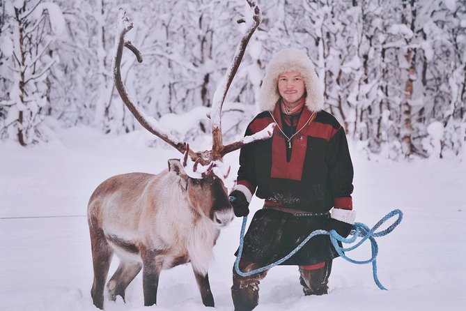 Reindeer Sledding and Feeding with Sami Culture in Tromso. - Group size and pacing: staying comfortable in a winter timeline