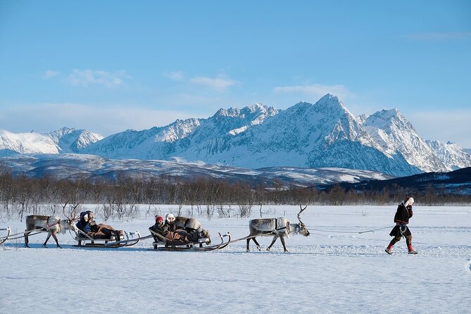 Reindeer Sledding and Feeding with Sami Culture in Tromso. - Who should book this, and who might prefer something else
