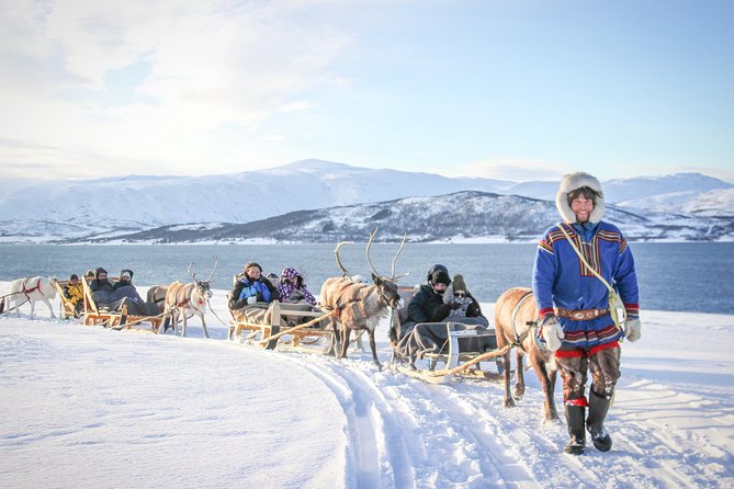 Reindeer Sledding Experience and Sami Culture Tour from Tromso - Key highlights worth planning around