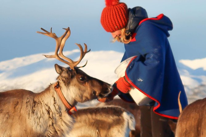 Reindeer Sledding Experience and Sami Culture Tour from Tromso - The 30-minute Reindeer Sleigh Ride: Slow, Scenic, and Photo-Friendly