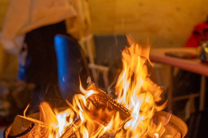 Reindeer Sledding, Feeding And Sami Culture At Reindeer Farm - Key highlights you’ll actually feel