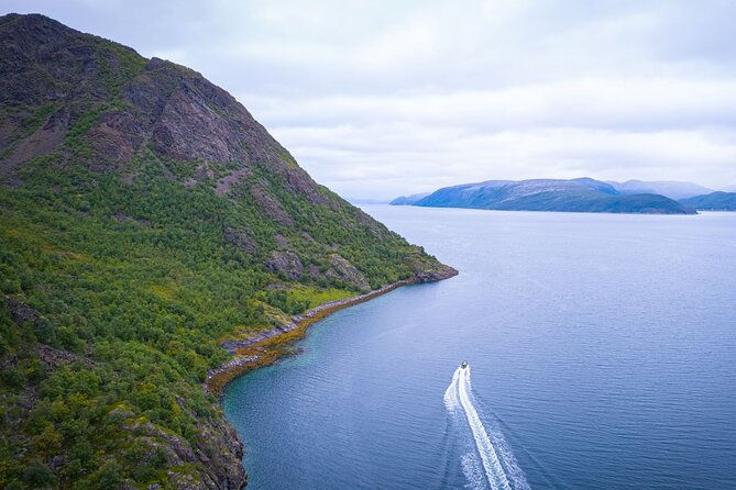 RIB Expedition to Seiland National Park - 3.5h - Seiland National Park Nature: Glaciers, Birds of Prey, Seals, and More